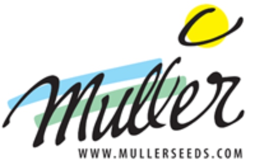 Muller